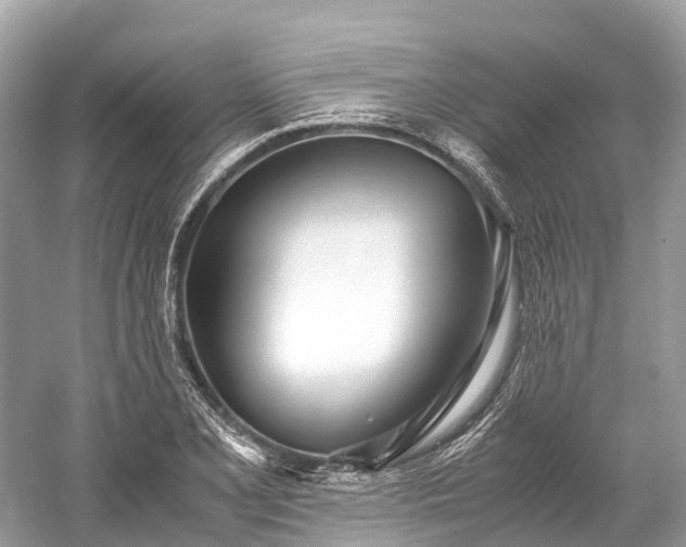 X0000059851077200510241458