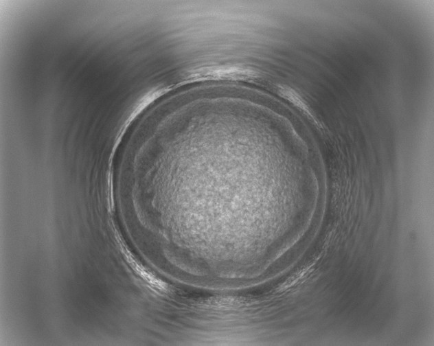 X0000059851079200510241458