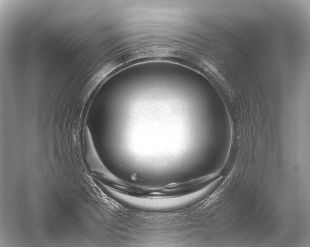 X0000059851081200510241458