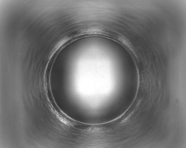 X0000059851082200510241458
