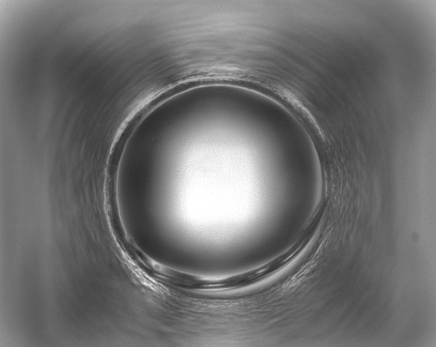X0000059851085200510241458