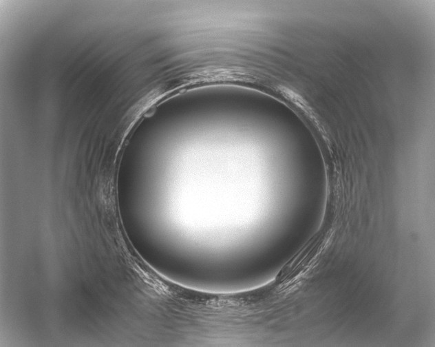 X0000059851089200510241457