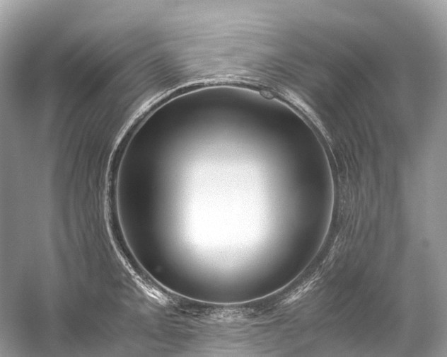 X0000059851093200510241457