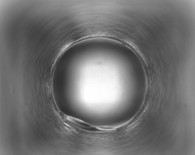 X0000059851097200510241457