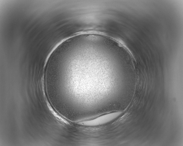 X0000059851100200510241457