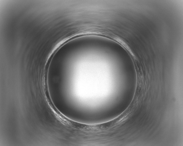 X0000059851101200510241457
