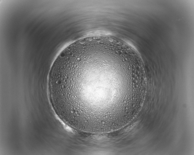 X0000059851103200510241457