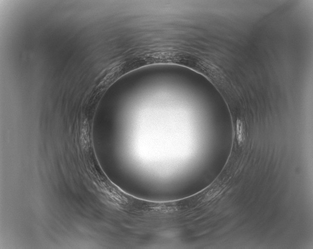 X0000059851107200510241456