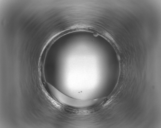 X0000059851124200510241457