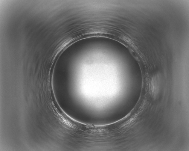 X0000059851129200510241457