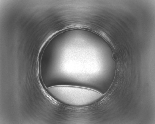 X0000059851132200510241457