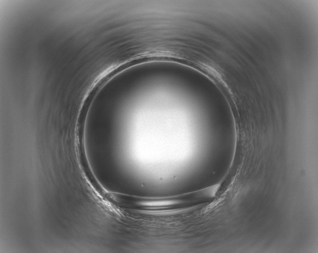 X0000059851133200510241457