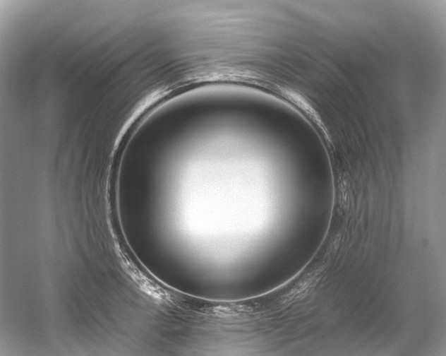 X0000059851138200510241457