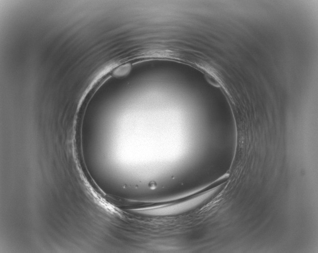 X0000059851139200510241457