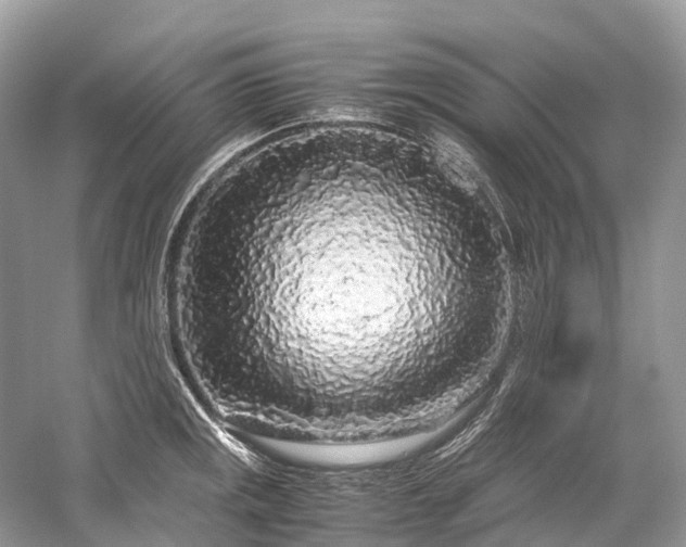 X0000059851141200510241457