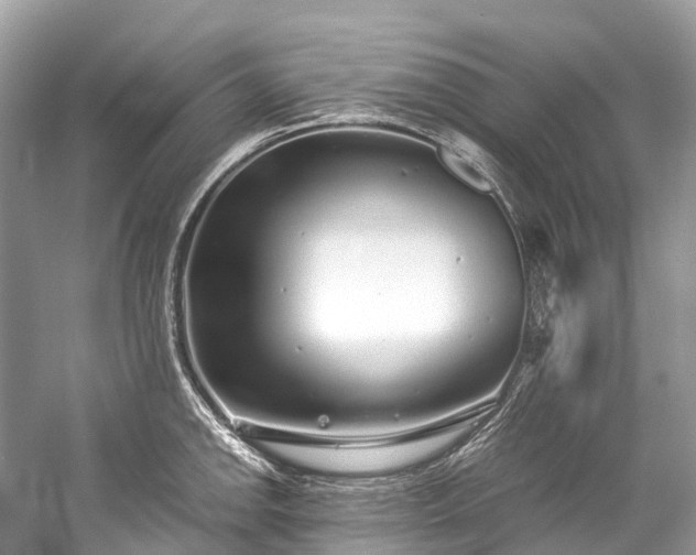 X0000059851142200510241457