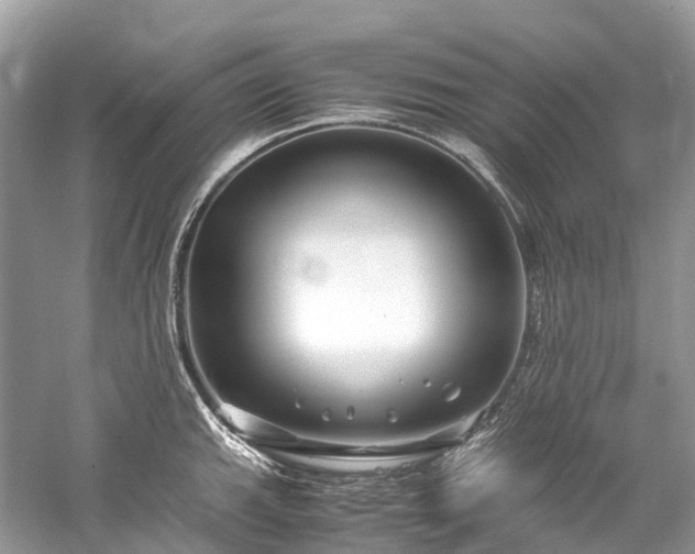 X0000059851143200510241457