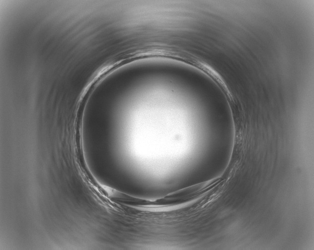 X0000059851146200510241457