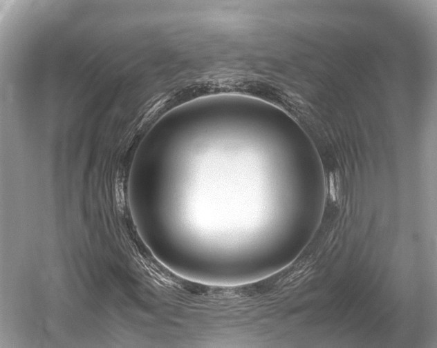 X0000059851155200510241456