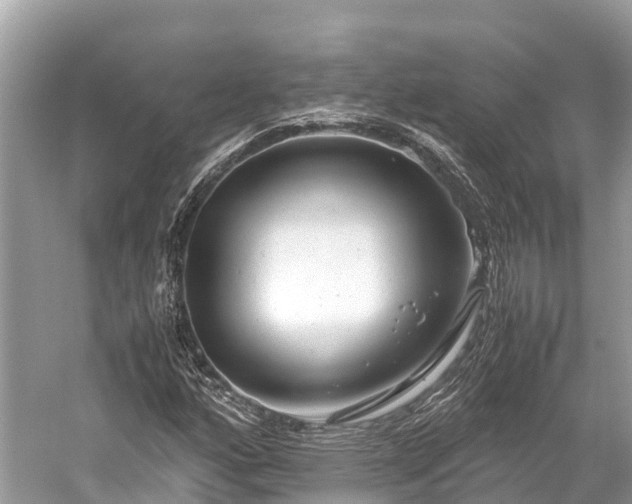 X0000059851160200510241456