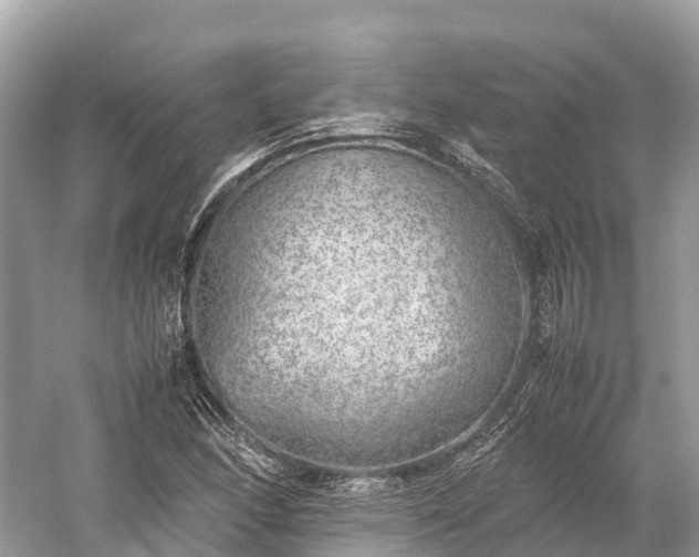 X0000059851166200510241456