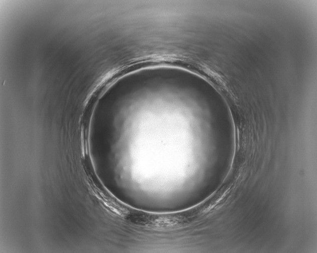 X0000059851171200510241456