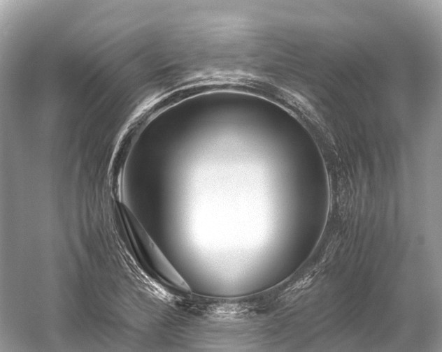 X0000059851172200510241456