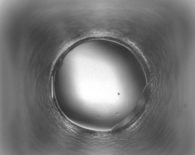 X0000059851175200510241456
