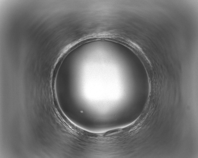 X0000059851176200510241456