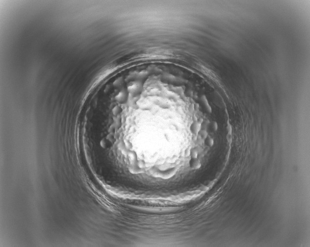 X0000059851179200510241456