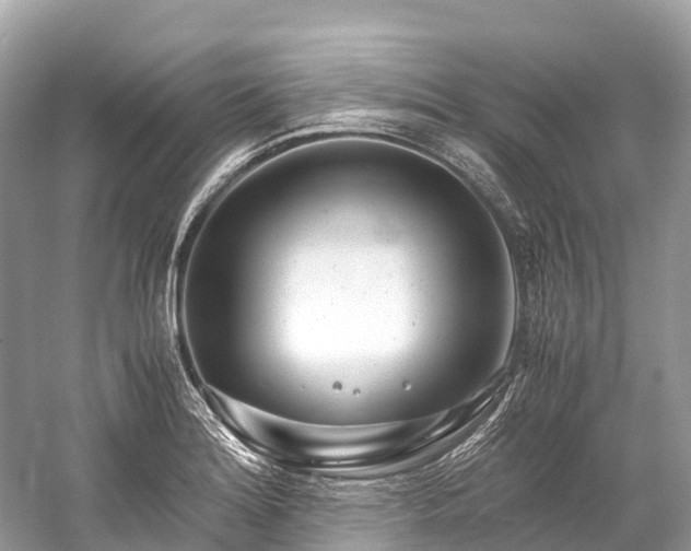 X0000059851180200510241456