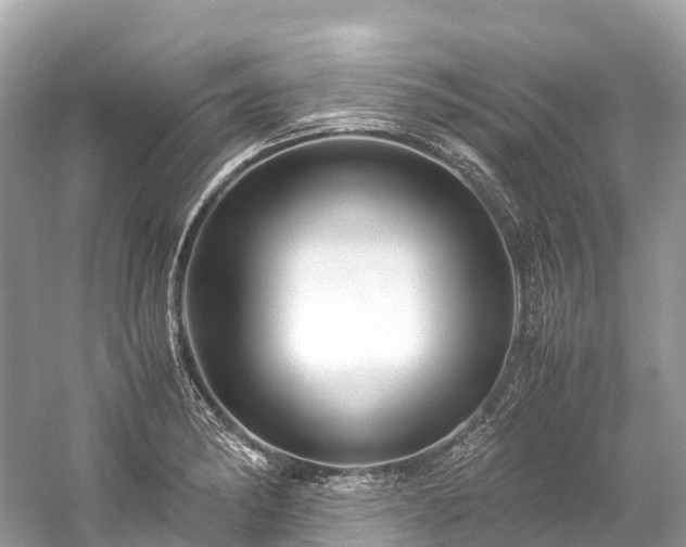 X0000059851182200510241456