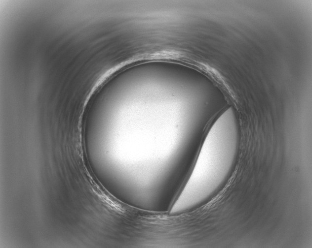 X0000059851184200510241456