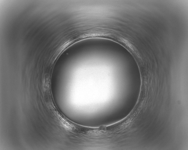 X0000059851185200510241456