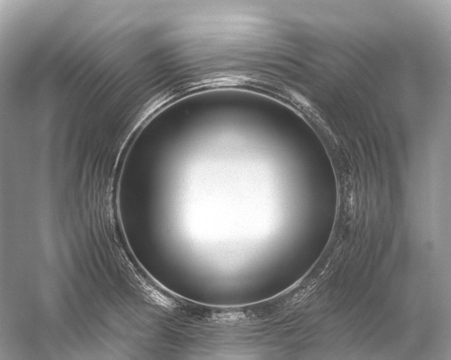 X0000059851186200510241456