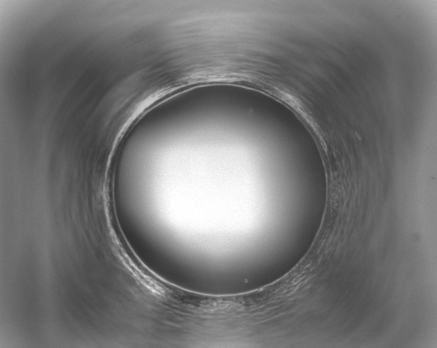 X0000059851187200510241456