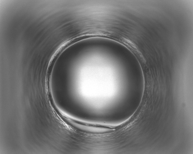 X0000059851188200510241456
