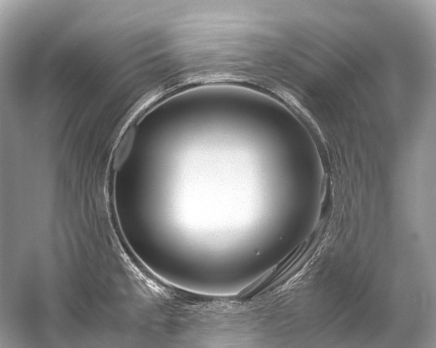 X0000059851189200510241456
