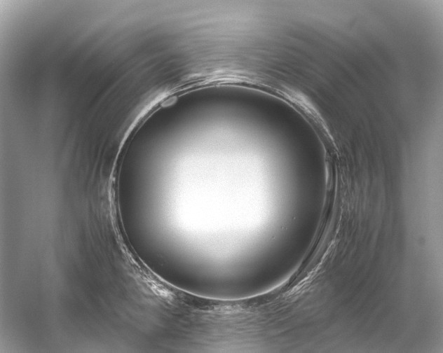 X0000059851190200510241456