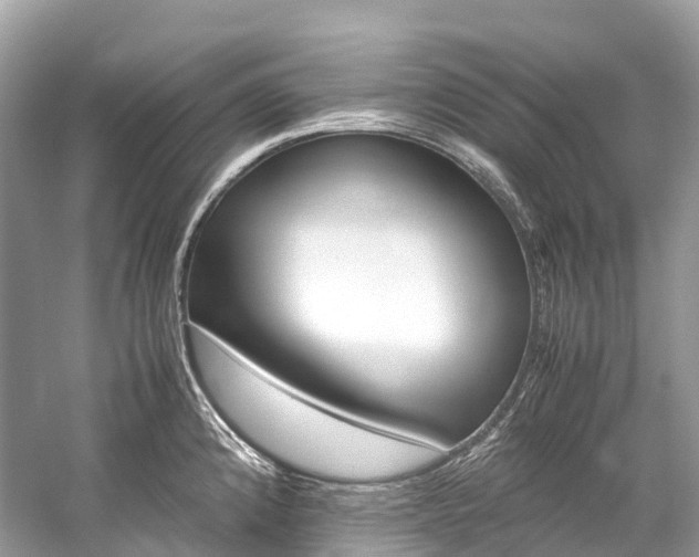 X0000059851192200510241456