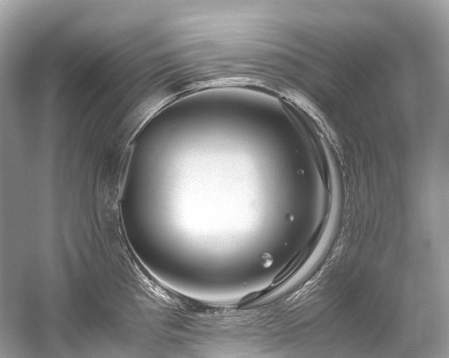 X0000059851193200510241456