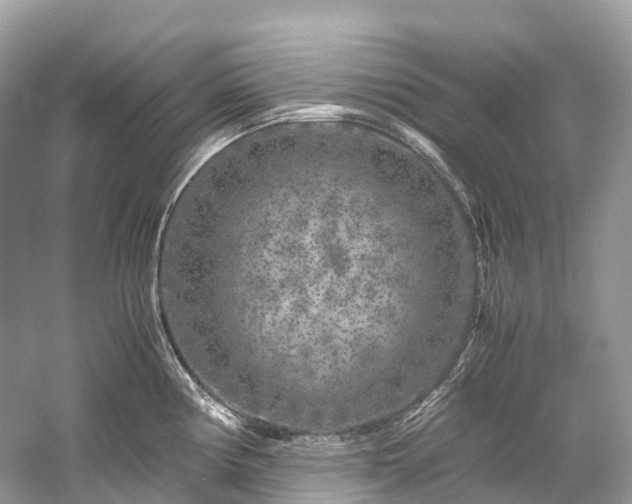 X0000059851194200510241456