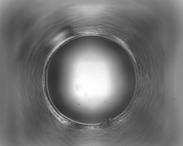 X0000059851195200510241456