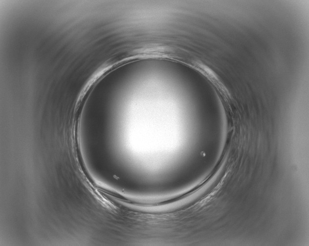 X0000059851196200510241456
