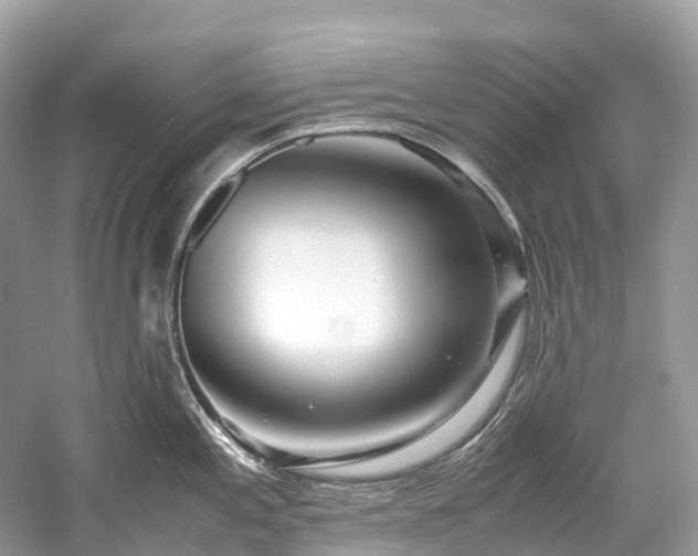 X0000059851197200510241456