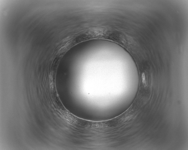X0000059851203200510241455