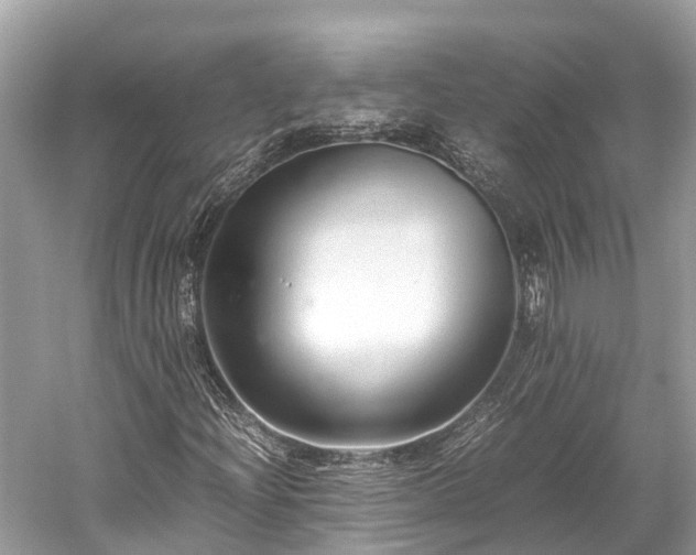 X0000059851204200510241455