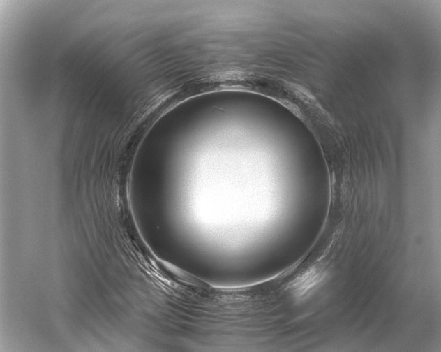 X0000059851209200510241455