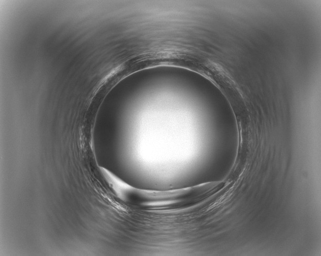 X0000059851210200510241455
