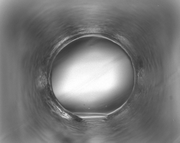 X0000059851212200510241455